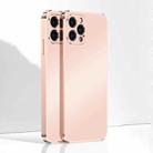 Ultra Thin Electroplated Frosted TPU Phone Case For iPhone 13 Pro(Pink) - 1