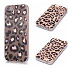 For iPhone 5 & 5s & SE Plating Marble Pattern Soft TPU Protective Case(Leopard) - 1