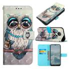 For Nokia G20/G10 3D Painting Horizontal Flip Leather Case(Grey Owl) - 1