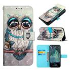 For Nokia G21/G11 3D Painting Horizontal Flip Leather Case(Grey Owl) - 1