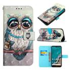 For Nokia G50 3D Painting Horizontal Flip Leather Case(Grey Owl) - 1