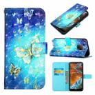 For Nokia G300 3D Painting Horizontal Flip Leather Case(Golden Butterfly) - 1