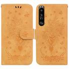 For Sony Xperia 1 III Butterfly Rose Embossed Leather Phone Case(Yellow) - 1