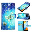 For Xiaomi Redmi 10C 4G Global/Redmi 10 India 3D Painting Horizontal Flip Leather Case(Golden Butterfly) - 1