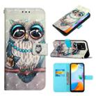 For Xiaomi Redmi 10C 4G Global/Redmi 10 India 3D Painting Horizontal Flip Leather Case(Grey Owl) - 1