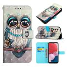 For Samsung Galaxy A13 4G 3D Painting Horizontal Flip Leather Case(Grey Owl) - 1
