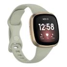 For Fitbit Versa 4 / Versa 3 / Sense Universal TPU Watch Band, Size:S(Rock Grey) - 1