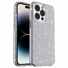 For iPhone 14 Pro Max Shockproof Terminator Style Glitter Powder Protective Case (Grey) - 1