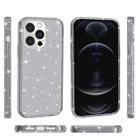 For iPhone 14 Pro Max Shockproof Terminator Style Glitter Powder Protective Case (Grey) - 3
