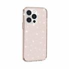 For iPhone 14 Pro Max Shockproof Terminator Style Glitter Powder Protective Case (Gold) - 2