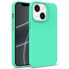 For iPhone 14 Starry Series Shockproof Straw Material + TPU Protective Phone Case (Green) - 1