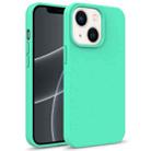 For iPhone 14 Plus Starry Series Shockproof Straw Material + TPU Protective Phone Case  (Green) - 1
