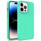 For iPhone 14 Pro Starry Series Shockproof Straw Material + TPU Protective Phone Case (Green) - 1