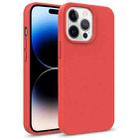For iPhone 14 Pro Max Starry Series Shockproof Straw Material + TPU Protective Phone Case (Red) - 1