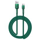 USB-C / Type-C 5A Beauty Tattoo USB Charging Cable,Cable Length: 1m(Green) - 1