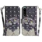 For Sony Xperia 5 III 3D Colored Horizontal Flip Leather Phone Case(Hug Cat) - 1