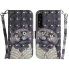 For Sony Xperia 1 IV 3D Colored Horizontal Flip Leather Phone Case(Hug Cat) - 1