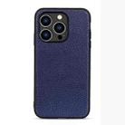 For iPhone 14 Pro Litchi Texture Genuine Leather Phone Case (Blue) - 1