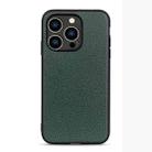 For iPhone 14 Pro Litchi Texture Genuine Leather Phone Case (Green) - 1