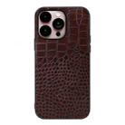 For iPhone 14 Pro Max Crocodile Top Layer Cowhide Leather Case (Coffee) - 1