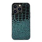 For iPhone 14 Pro Crocodile Top Layer Cowhide Leather Case (Cyan Blue) - 1