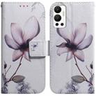 For Infinix Hot 12 Coloured Drawing Leather Phone Case(Magnolia Flower) - 1