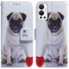 For Infinix Hot 12 Coloured Drawing Leather Phone Case(Pug) - 1