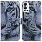 For Infinix Hot 12 Coloured Drawing Leather Phone Case(Tiger) - 1
