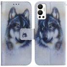 For Infinix Hot 12 Coloured Drawing Leather Phone Case(White Wolf) - 1