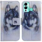 For Infinix Hot 12 Play Coloured Drawing Leather Phone Case(White Wolf) - 1