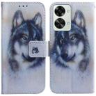 For OnePlus Nord 2T Coloured Drawing Leather Phone Case(White Wolf) - 1