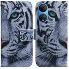 For Honor X7 Coloured Drawing Leather Phone Case(Tiger) - 1