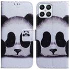 For Honor X8 Coloured Drawing Leather Phone Case(Panda) - 1