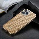 For iPhone 12 / 12 Pro Fierre Shann Python Texture Electroplating PU Phone Case(White) - 1