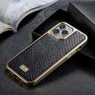 For iPhone 13 Pro Max Fierre Shann Snake Texture Electroplating PU Phone Case (Black) - 1