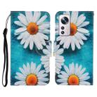 For Xiaomi 12 Lite Colored Drawing Pattern Flip Leather Phone Case(Daisy) - 1