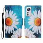 For Xiaomi 12 Lite Colored Drawing Pattern Flip Leather Phone Case(Chrysanthemum) - 1
