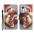 For Xiaomi 12 Lite Colored Drawing Pattern Flip Leather Phone Case(Butterfly Cat) - 1