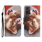 For OPPO A96 4G / Realme 9i Colored Drawing Pattern Flip Leather Phone Case(Butterfly Cat) - 1