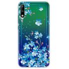 For Huawei Enjoy 10 Lucency Painted TPU Protective Case(Statice) - 1
