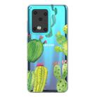 For Galaxy S20 Ultra Lucency Painted TPU Protective Case(Cactus) - 1