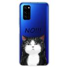 For Huawei Honor V30 Lucency Painted TPU Protective Case(Cat) - 1