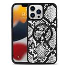For iPhone 13 Leather Texture MagSafe Magnetic Phone Case(Python Pattern) - 1