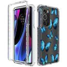 For Motorola Edge 30 Pro PC+TPU Transparent Painted Phone Case(Butterflies) - 1