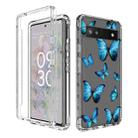 For Google Pixel 6a PC+TPU Transparent Painted Phone Case(Blue Butterflies) - 1