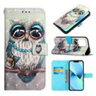 For iPhone 14 3D Painting Horizontal Flip Leather Phone Case (Grey Owl) - 1