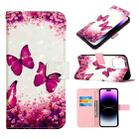 For iPhone 14 Pro 3D Painting Horizontal Flip Leather Phone Case(Rose Butterfly) - 1