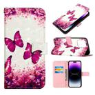 For iPhone 14 Pro Max 3D Painting Horizontal Flip Leather Phone Case (Rose Butterfly) - 1
