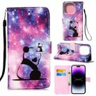 For iPhone 14 Pro Painted Flat Texture Leather Case with Lanyard & Card Slot & Wallet & Holder(Baby Panda) - 1