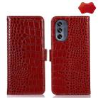 For Motorola Moto G62 5G Crocodile Top Layer Cowhide Leather Phone Case(Red) - 1